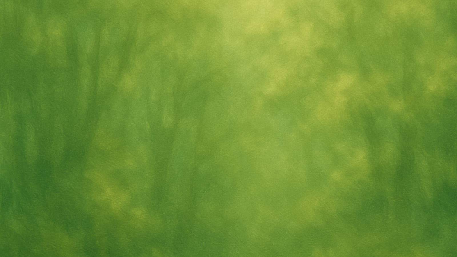 Voice Agent background